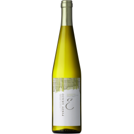 Cantina Valle Isarco Pinot Grigio DOC 2019 (RP 91)